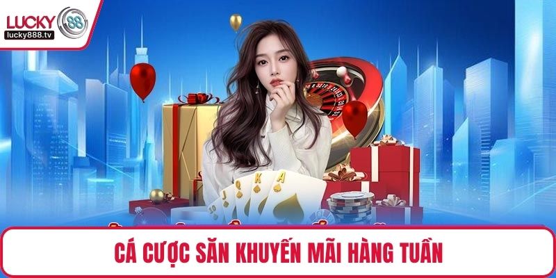 Cá cược săn khuyến mãi hàng tuần